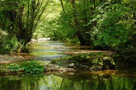 Il torrente Vesca
